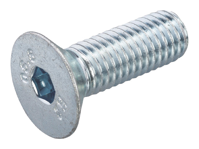 Talamex, Fladhovedbolt Indvendig Sekskant, Rustfrit Stål AISI 316 (1stk) – Størrelse: M6x40 (5), 6 Stk