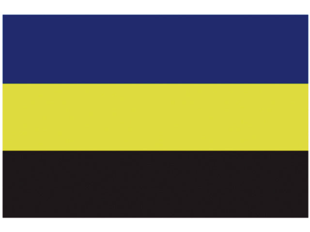 Talamex, Gelderlands Flag, 20x30 cm (1stk) – Størrelse: 30X45