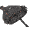 LT 20422025