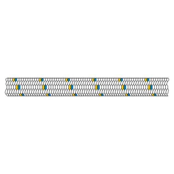 LT 68901005